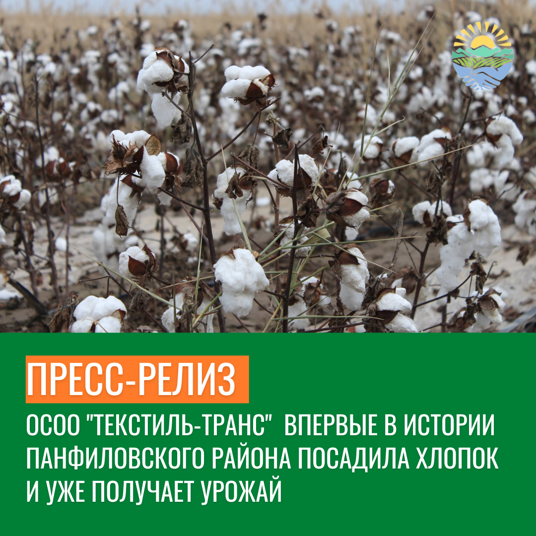 ПРЕСС-РЕЛИЗ ЧЛЕН АССОЦИАЦИИ РАЗВИТИЯ АГРОПРОМЫШЛЕННОГО КОМПЛЕКСА КОМПАНИЯ  ОСОО «ТЕКСТИЛЬ ТРАНС» ВПЕРВЫЕ В ИСТОРИИ ПАНФИЛОВСКОГО РАЙОНА ПОСАДИЛА  ХЛОПОК НА ПЛОЩАДИ БОЛЕЕ 500 ГЕКТАРОВ ЗЕМЛИ. - Ассоциация Развития АПК